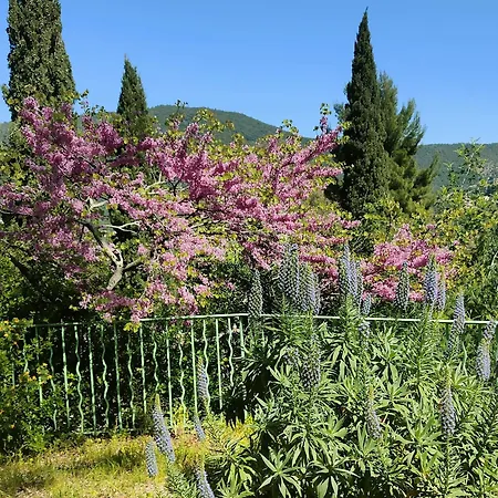 شقة Pramousquier Un Coin De Paradis 3 Etoiles,entre Et Foret